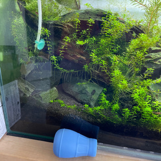 水槽まるごとの画像