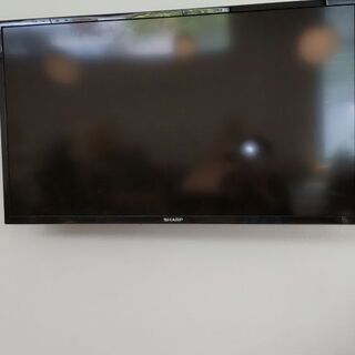 テレビモニターだけです