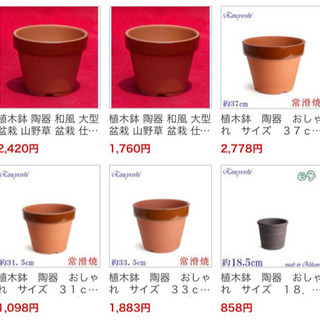 決まりました！【全部で!!】駄温鉢〈駄鉢〉 陶器鉢 大型 国産植木鉢 常滑焼 素焼き鉢 和風 陶器鉢  盆栽 の画像