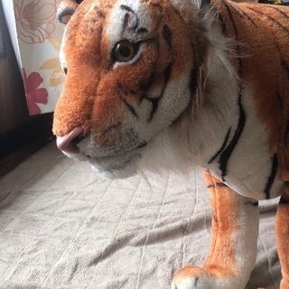 大きなトラさんあげます