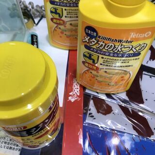 【引取限定】水槽セット 240×190×300 中古品 おまけいっぱい【小倉南区葛原東】の画像
