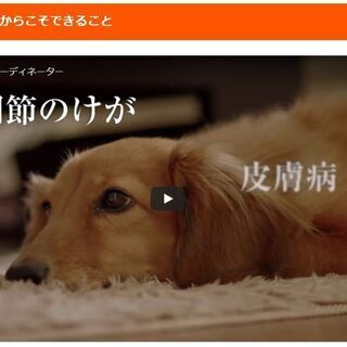 愛犬家の住まいをサポート！【床コーティング剤】AJパーフェクトコートセットプレミアムの画像