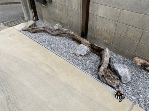 最終値下げしました　大型の本物の流木です