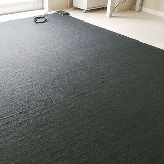 MUJI 無印良品  ホットカーペット 3畳用   (R-30M4)の画像