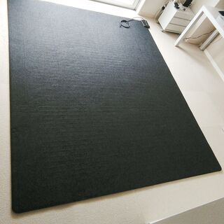 MUJI 無印良品  ホットカーペット 3畳用   (R-30M4)の画像
