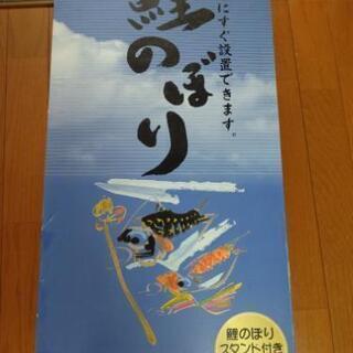 鯉のぼり