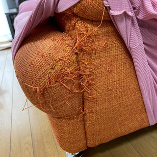 【差し上げます！】2人がけソファー（取りに来られる方限定）の画像