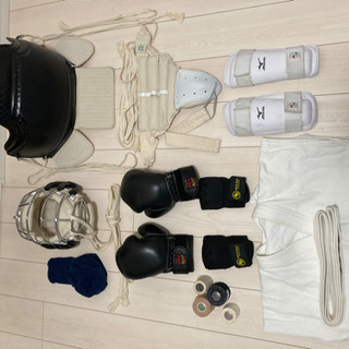 リュウタロス 仮面ライダー電王 佐藤健 フィギュア 当時物 SHF 真骨彫 紫龍