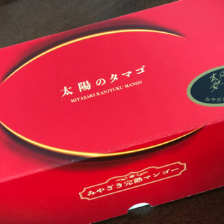 マンゴーの出荷のお手伝いの画像