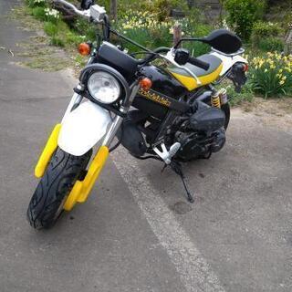 美品50cc　SUZUKI　ストリートマジック2【セル一発始動/...