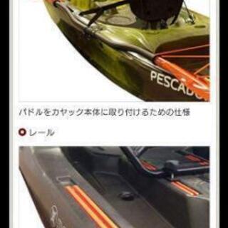カヤック  perception PESCADOR 10.0