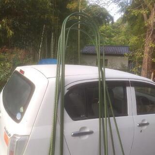 アーチ支柱5本セット