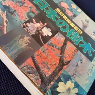 【差し上げます】1446種の樹木。気になる樹木を探しませんか?