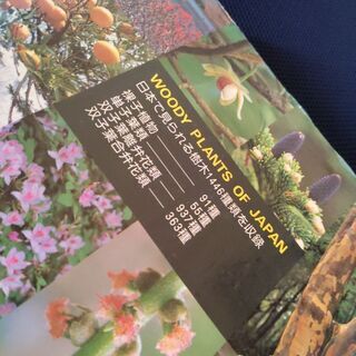 【差し上げます】1446種の樹木。気になる樹木を探しませんか?の画像