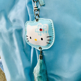 キティリックサックの画像