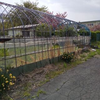 ビニールハウス