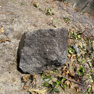 庭石2の画像