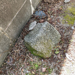 庭石2の画像