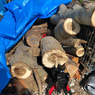 決まりました。薪　キャンプ　薪ストーブ　積み放題の画像