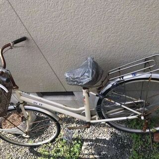 無料で大人用の自転車を差し上げます。