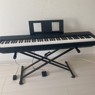YAMAHA P-45Bの画像