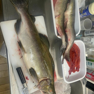 北海道で釣りグループ作ります。
