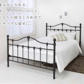 GMIO161B○BERG Furniture / ベルグファニチャー 1人掛