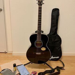 アコースティックギター James JF350BK