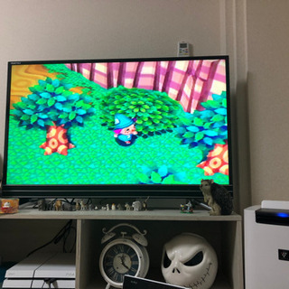 ニンテンドー6４のどうぶつの森の電池交換の件で……。の画像