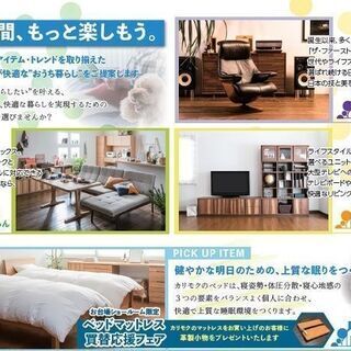 ★水曜定休日以外開催中【カリモク家具フェア】	お台場ショールーム - 江東区