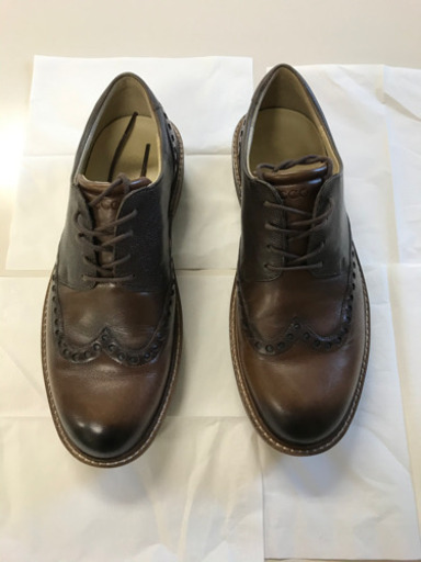 エコーLUXゴルフシュウ