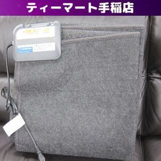 空気をキレイにする ホットカーペット 2018年製 電気カーペッ...