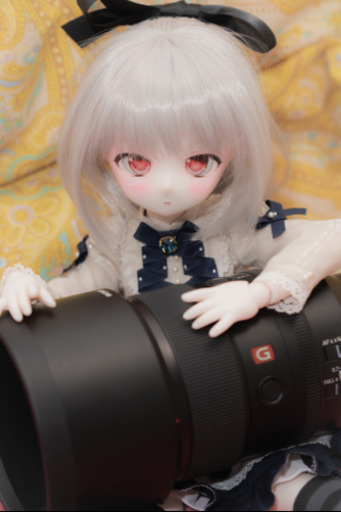 ドルフィードリーム DDH-01 MDD SW フルカスタム 里親募集