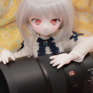 ドルフィードリーム DDH-01 MDD SW フルカスタム 里親募集