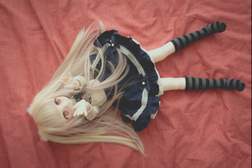 ドルフィードリーム DDH-01 MDD SW フルカスタム 里親募集