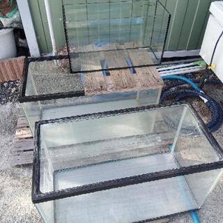 熱帯魚店アクアソルティーの画像