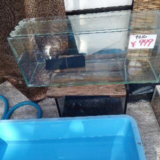 熱帯魚店アクアソルティー - 臼杵市