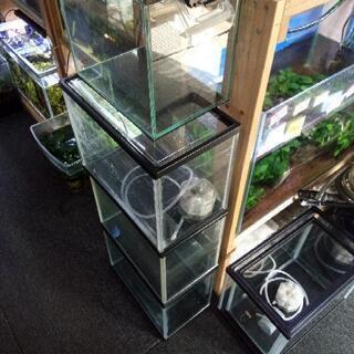 熱帯魚店アクアソルティー − 大分県