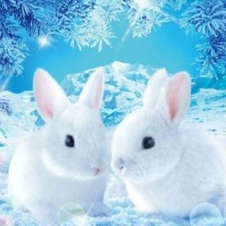 🐰お友達募集🐰