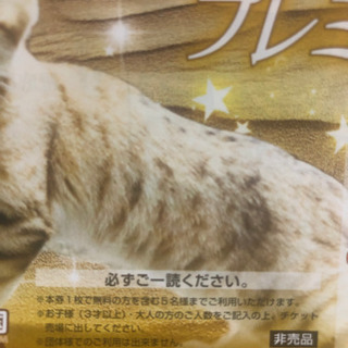 那須どうぶつ王国の画像