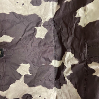 【BEAMS×coleman】ハラコ柄ベンチの画像