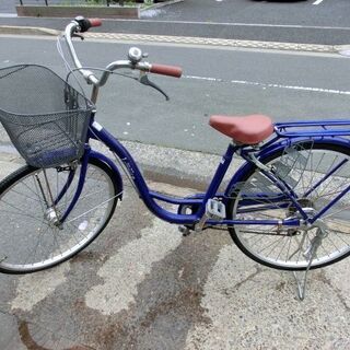 D311　LUPINIIS　COLLECTION　TWO-ONE...