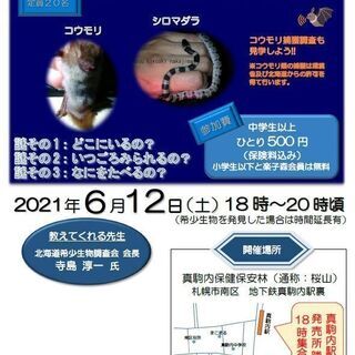 札幌市民も発見できるかもしれない⁉　謎めいた生き物の話