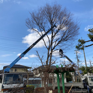 庭の手入れ