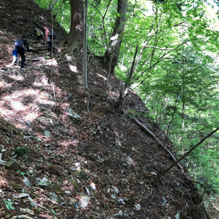 ★子連れ登山（山歩き）仲間募集★