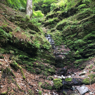 ★子連れ登山（山歩き）仲間募集★ − 東京都