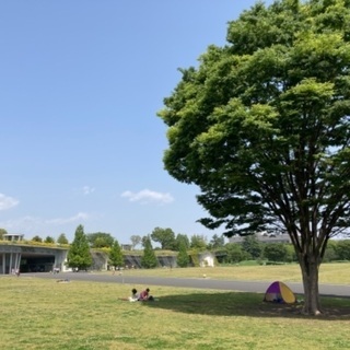 公園でヨガやりませんか？