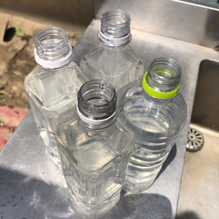ゾウリムシ 針子 500ml