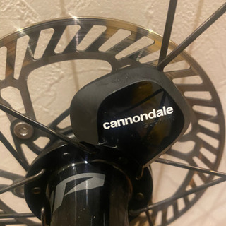 CAAD13の画像