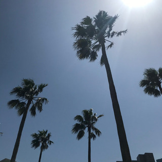 青空アロマワークショップ〜その疲れ，五感のバランスの崩れかも？？日本の精油で心も体もHappyの画像